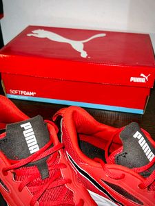 Puma Softfoam Plus