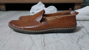 Brown Belly For Men