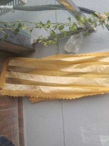 Unused Dupta