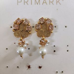 Gold Covering Earrings