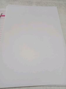 A4 Size Paper/ Project File / Butter Paper/ Bag
