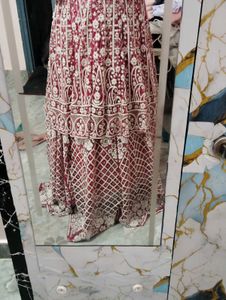 Elegant Rani Colour &amp; White Lehenga Choli