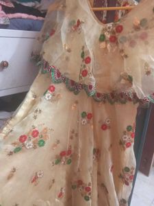 Embroidered Lehenga Choli