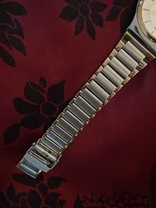 Titan Analog Watch