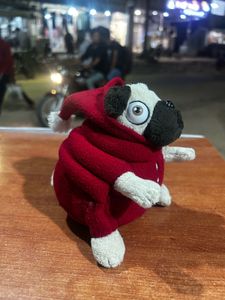 Pig the Pug