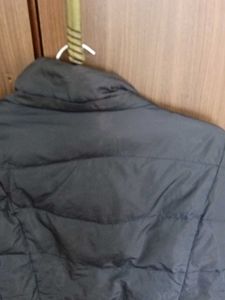 Crocodile Navy Blue Puffer Jacket