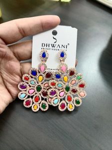 Heavy Multicolour Earrings