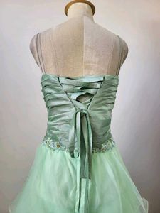 Organza Gown