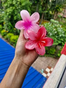Bow And Flower Clip Combo