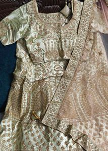 Elegant Lehenga Choli Set