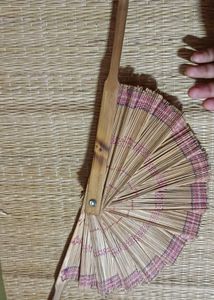 Vintage Fan ~ Collectible