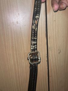 Metallic Copper Sling Bag