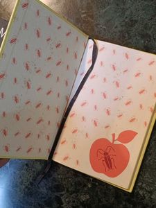 Kafka &amp; Murakami Books