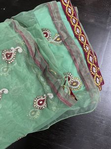 Green Embellished Saree