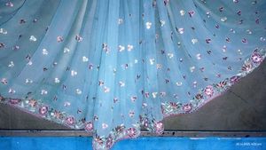 Floral Embroidered Saree