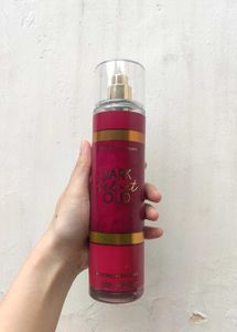 Bath &amp; Body Works Dark Velvet Oud