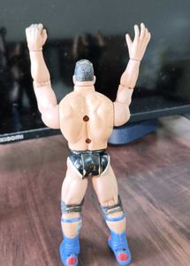 WWE Action Figures (3)