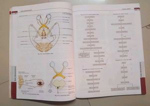 BD Chaurasia’s Human Anatomy Complete Set