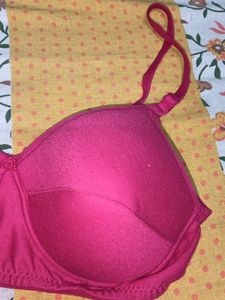 Hot 🔥 Pink 🩷 Padded Bra