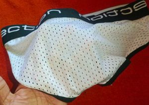 0850 Collection Brief