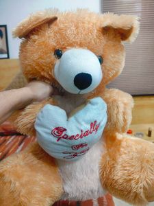 Teddy