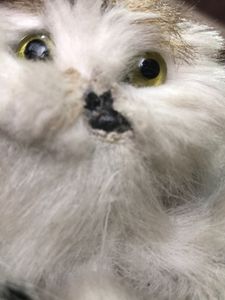 Soft Toys