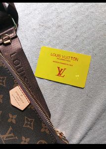 Louis Vuitton Multi Pochette Accessoires