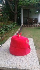 Premium Soft Velvet Cat / Kittens / puppies / small dogs  Pet Cave House