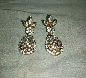 Elegant Crystal Teardrop Earrings