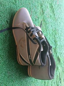 Man And Woman Sports Shoes