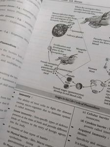 12th Science-pcb Mind map With Question Paper Pr
