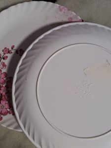 2 Beautiful melamine 🍽 Plates ..