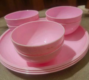 Pink Plastic Bowl and Plate Set