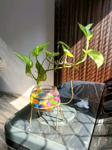 Dear Shape Stand And Pot