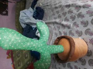New Cactus 🌵🌵🌵🌵🌵 Toys Dancer