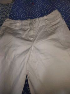 Women  Office Pants
