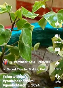 Handmade Cement Planter Pot 🪴