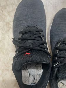 Puma Gray Sneakers