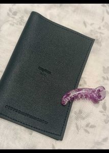 Passport Cover with Free Hair Clip