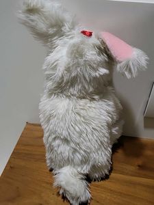 Puppet  Rabbit Eating Carrot