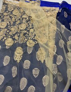 New Royal Blue And Gold Banarsi Silk Organza Saare