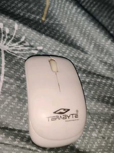 Mouse Wireless