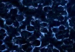 Newly Velvet Dress