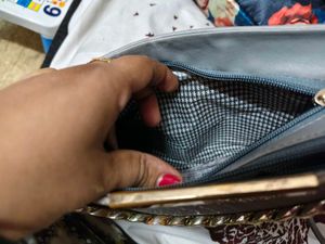 Beautiful Shimmer Bag