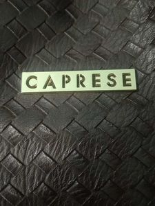 Caprese Coffee Brown Shoulder Bag
