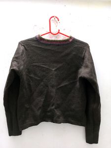 Brown Korean  Sweatshirt