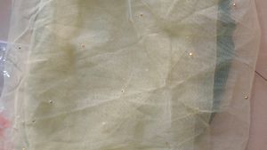 Beautiful Lehnga With Net Chunni