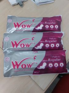 SANITARY NAPKINS - REGULAR