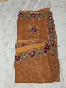 Elegant Embellished Saree