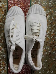 White Sneakers
